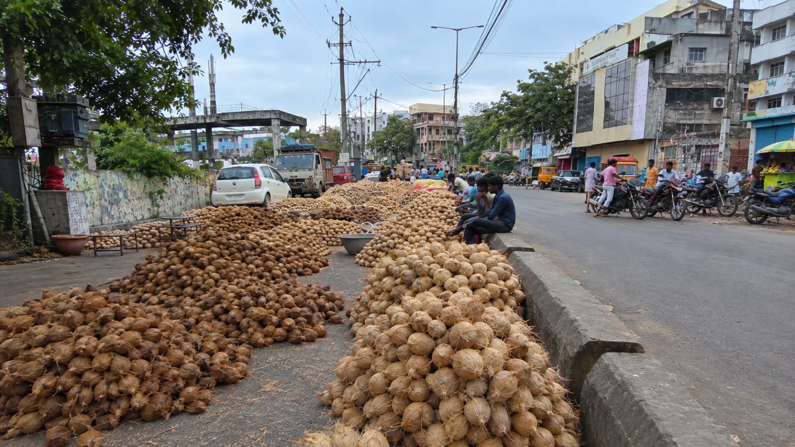 Fresh coconuts